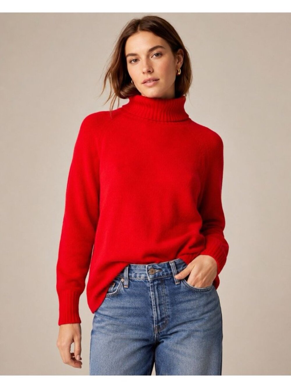 J Crew Sweater Small Alpaca & Nylon & Wool Blend Super Soft Turtleneck